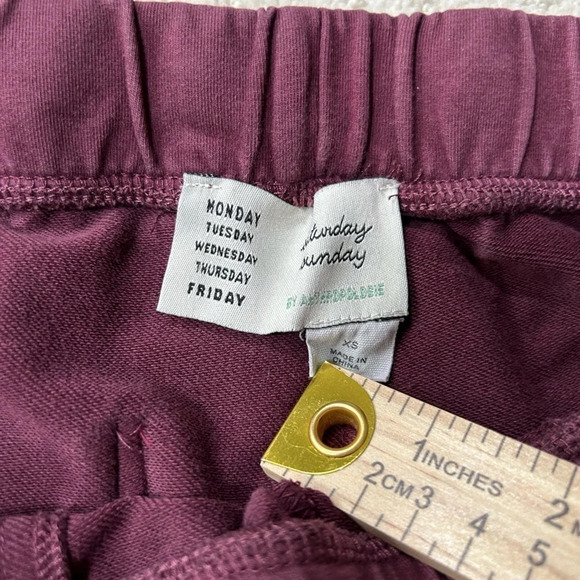 Anthropologie Saturday Sunday | Theo Utility Jogger Pants in Burgundy (XSmall) - Picture 7 of 8